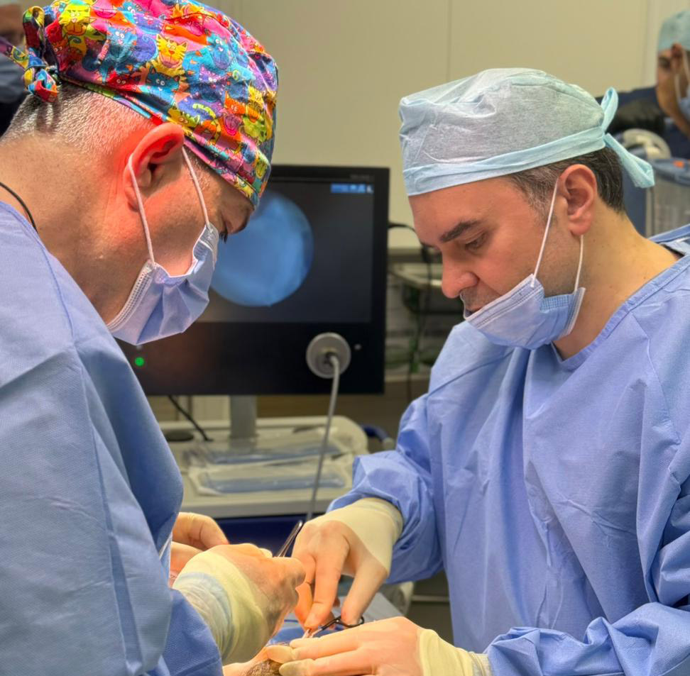Professor Ali Ghanem performing a precise surgical procedure in a state-of-the-art operating room.