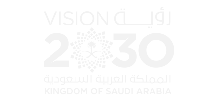 Vision 2030